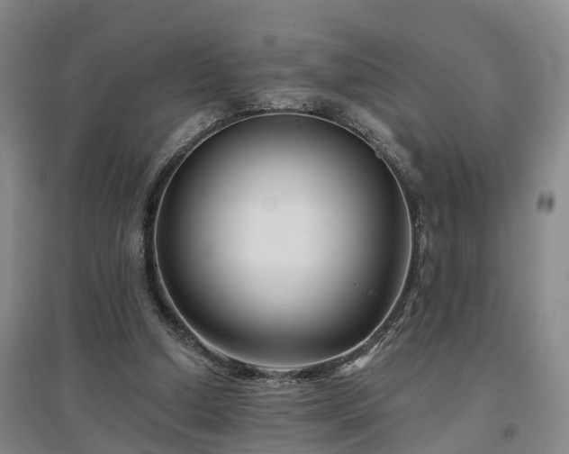 X0000096990250200802151358