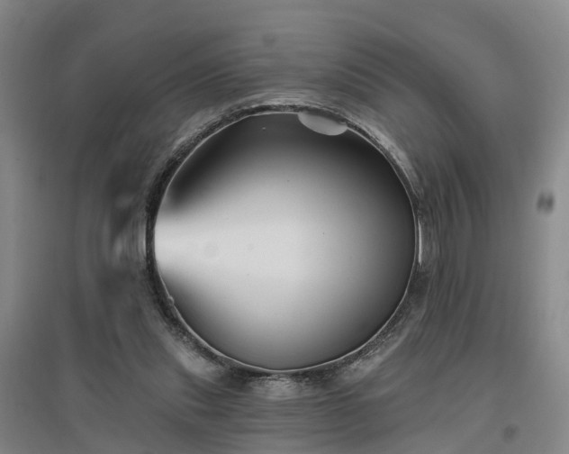 X0000096990253200802151358