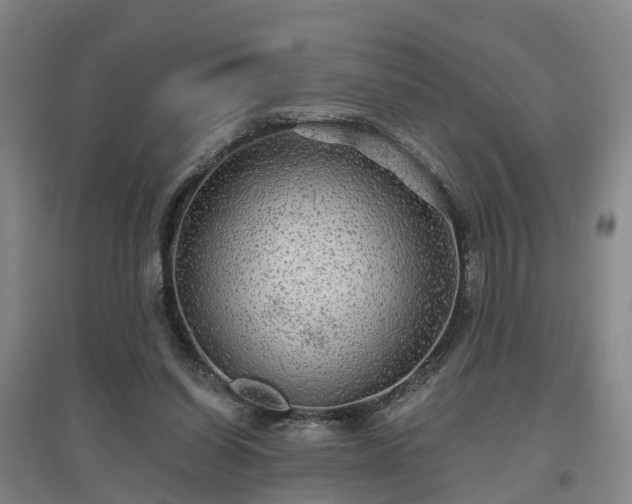 X0000096990254200802151358