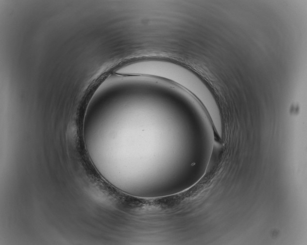 X0000096990256200802151359