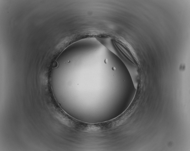 X0000096990257200802151359