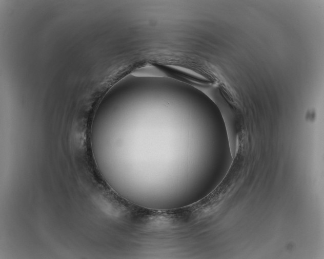 X0000096990259200802151359