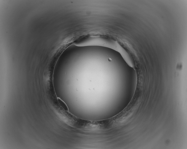 X0000096990260200802151359