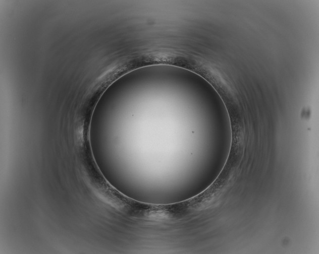 X0000096990262200802151359