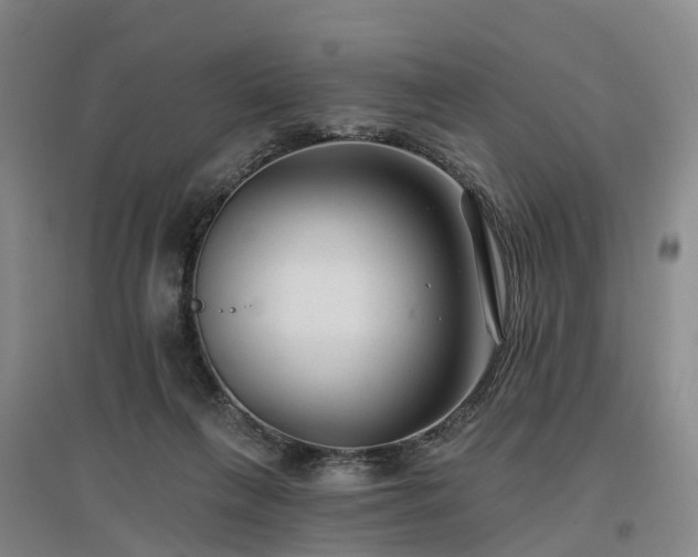 X0000096990263200802151359