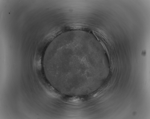 X0000096990267200802151359