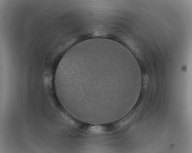 X0000096990269200802151359