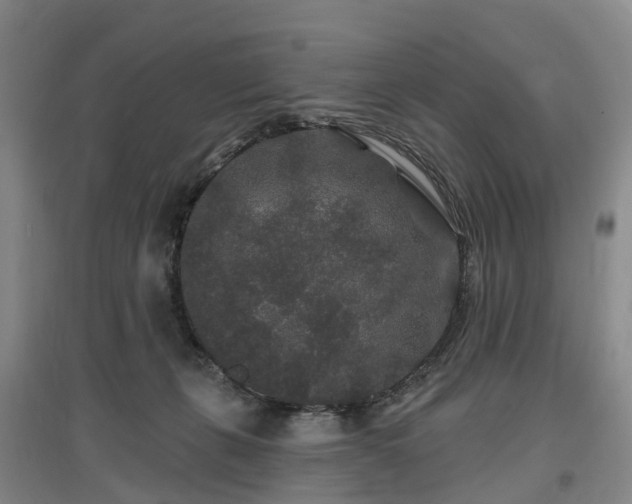 X0000096990271200802151359