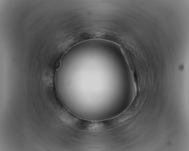 X0000096990274200802151359