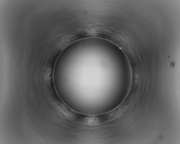 X0000096990275200802151359