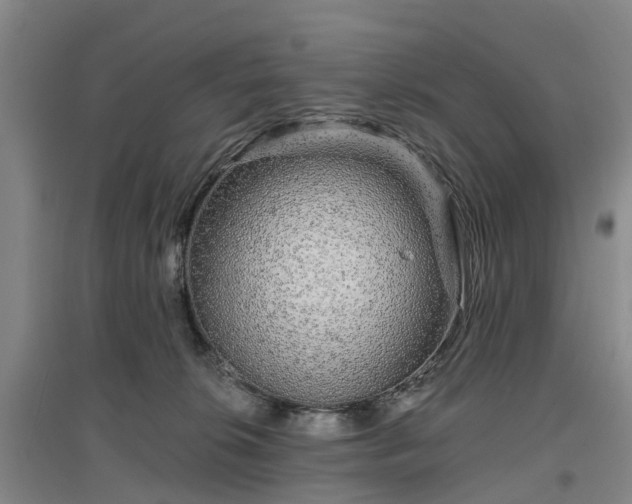 X0000096990276200802151359