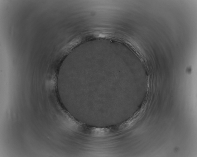 X0000096990277200802151359