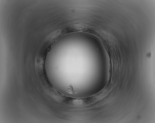 X0000096990279200802151359