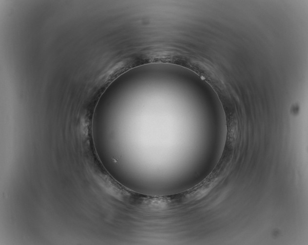 X0000096990282200802151359