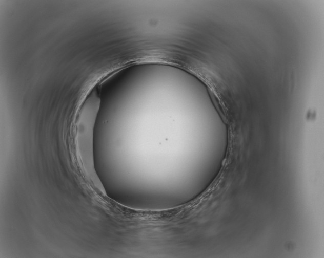 X0000096990289200802151358