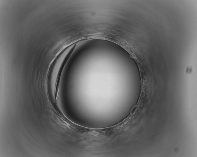 X0000096990290200802151358