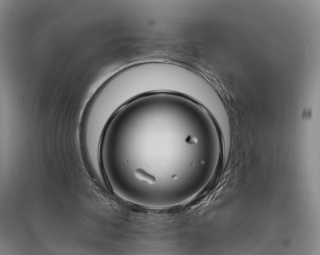 X0000096990292200802151358