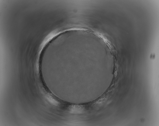 X0000096990296200802151358