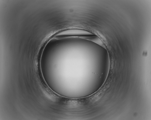 X0000096990298200802151358