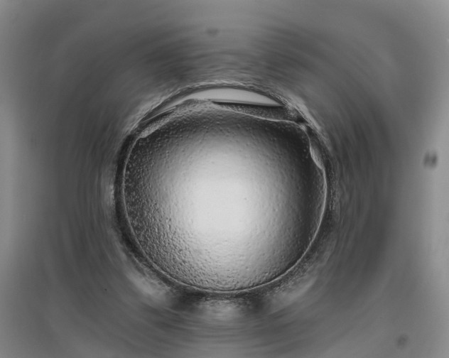 X0000096990299200802151358