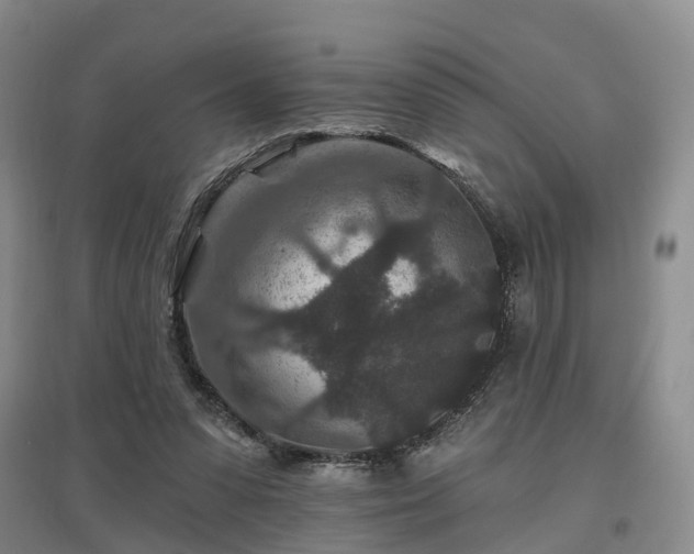 X0000096990303200802151358