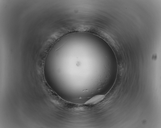 X0000096990307200802151358
