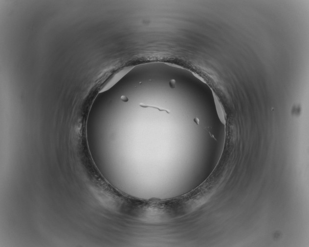 X0000096990308200802151358