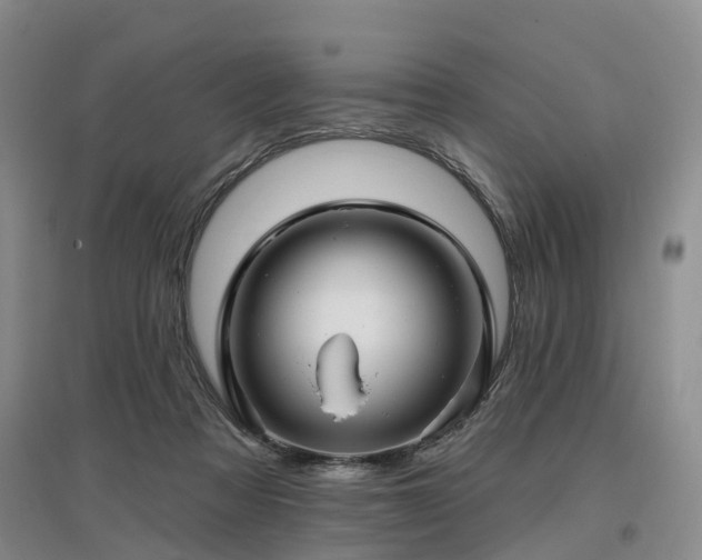 X0000096990313200802151358