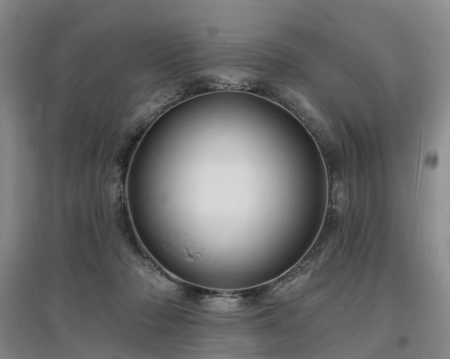 X0000096990318200802151358