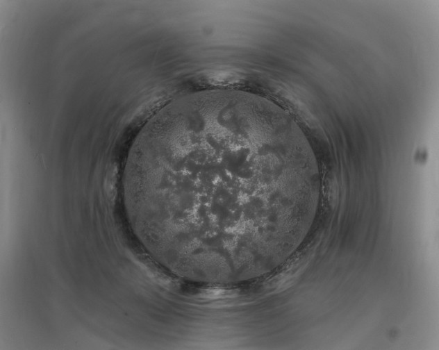 X0000096990319200802151358