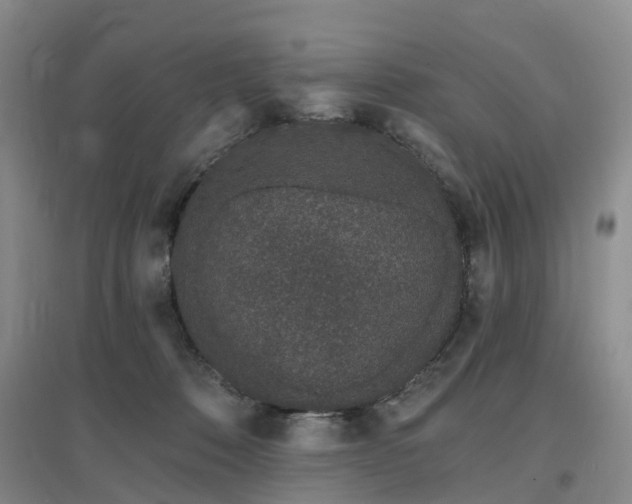 X0000096990320200802151358