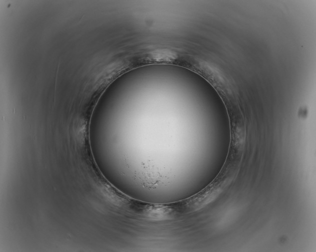 X0000096990321200802151358