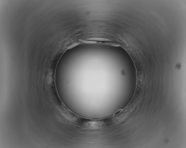 X0000096990323200802151358
