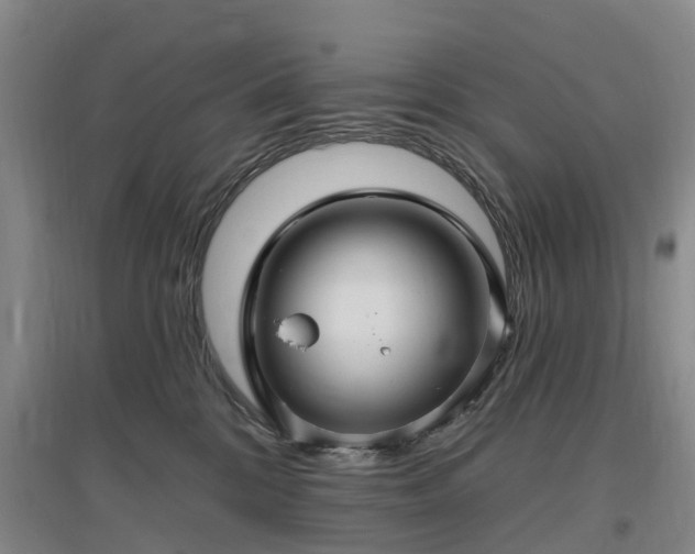 X0000096990328200802151358