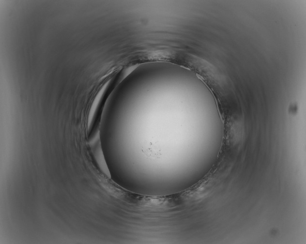 X0000096990329200802151358