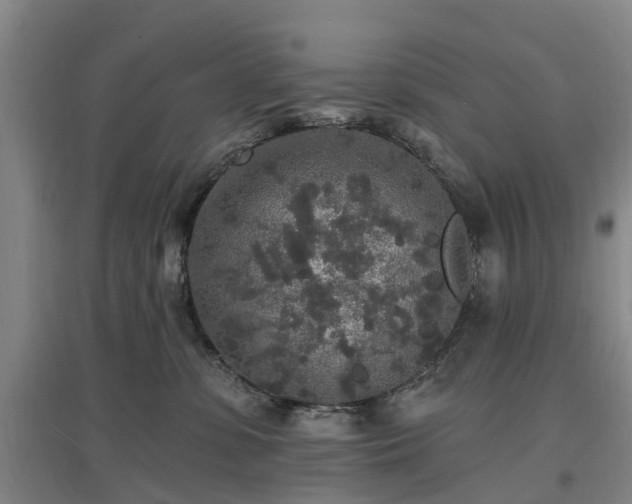 X0000096990331200802151358