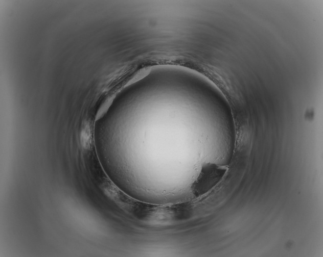 X0000096990335200802151358