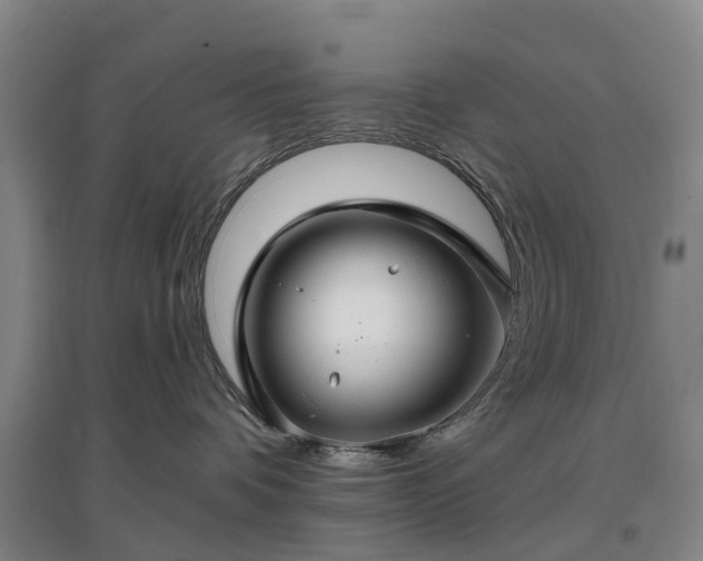 X0000096990336200802151358