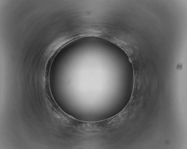 X0000096990338200802151357