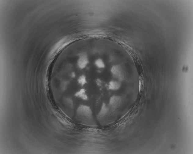 X0000096990339200802151357