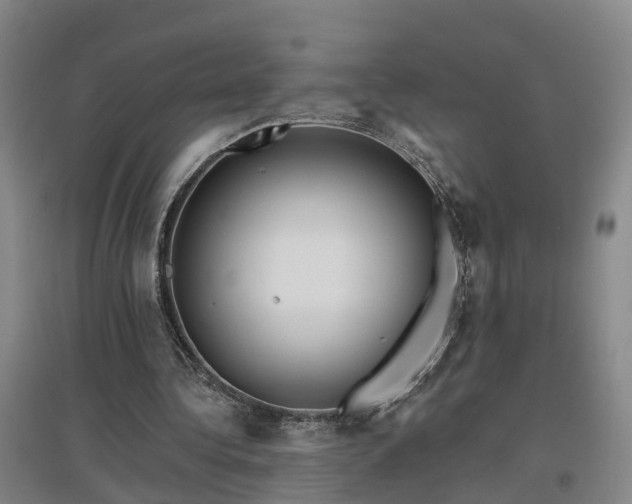 X0000096990340200802151357