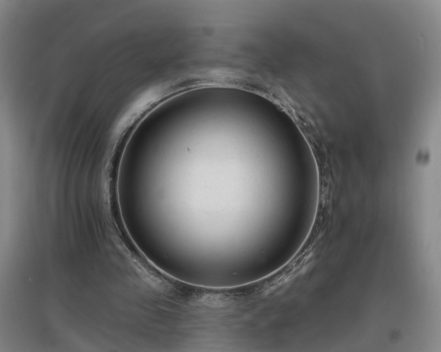 X0000096990341200802151357