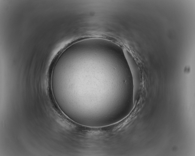 X0000096990342200802151357
