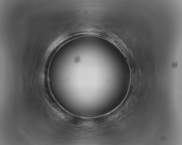 X0000096990344200802151357