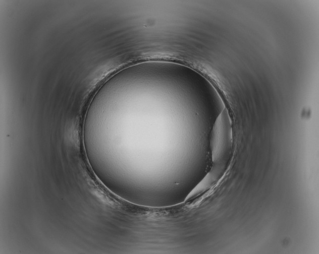 X0000096990345200802151357