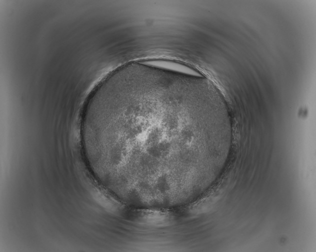 X0000096990347200802151357