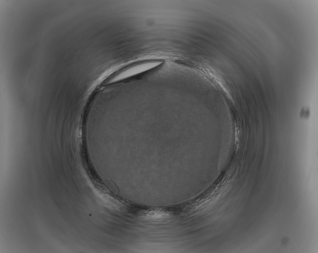 X0000096990348200802151357