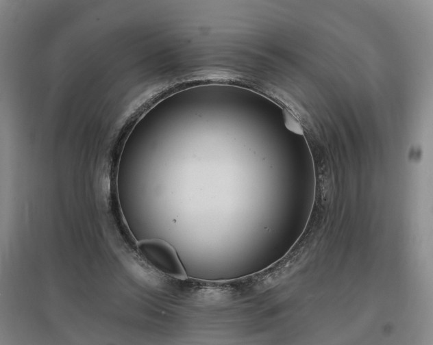 X0000096990350200802151357