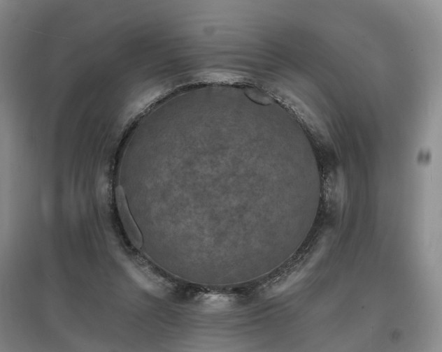 X0000096990352200802151357