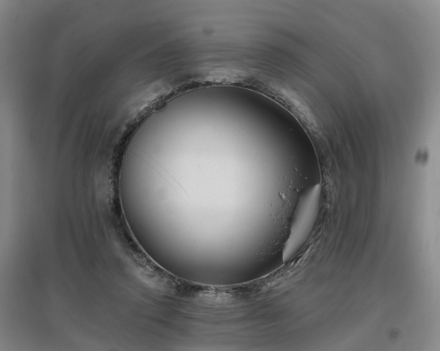 X0000096990354200802151357